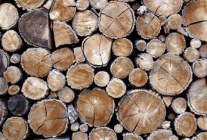 como reciclar madeira?